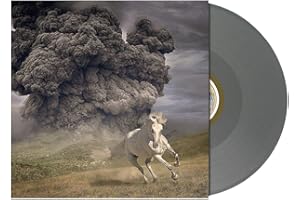 Year Of The Dark Horse