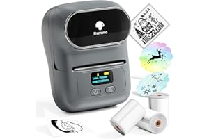 Phomemo M110 Etichettatrice Portatile Bluetooth Stampante Termica Etichette Adesive per iOS & Android,per piccole imprese,uffici,codici a barre,negozi,Label Printer set Con 3 Rotoli Etichette -Grigio