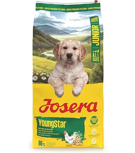 JOSERA Junior High Proteïne, zeevis (1 x 12,5 kg) | Premium droogvoer actieve honden vanaf 6 weken | zalm & zoete aardappel | graanvrij & eiwitrijk | L-carnitine & taurine | 1 stuk verpakt