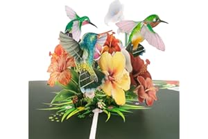 Hierein Carte Anniversaire, Oiseaux et Fleurs Carte Pop Up avec Enveloppe, 3D Colibri Carte Anniversaire Femme pour Homme Femme Maman Épouse Petite Amie Ami, Anniversaire Saint-Valentin