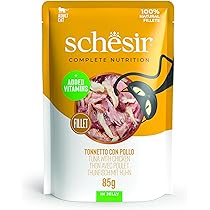 Schesir