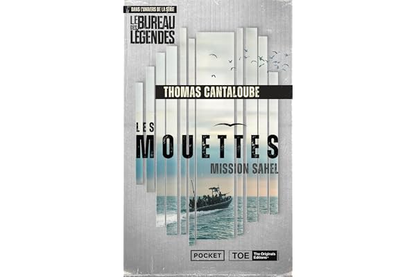 Les Mouettes - Mission Sahel