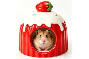 CHUANFU Hamsterversteck i Keramik, Kakor Hamsterhus och Livsrum