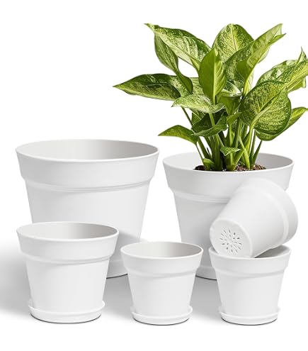 Gttinger 50 Rundtpfe  9 x 7,2 schwarz Pflanztpfe Pflanzkbel  Blumentpfe: Amazon.de: Garten