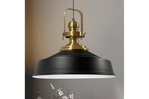 bamyum Asletl Lampadario a Sospensione Vintage, Lampada Vintage Industriale 40 cm Diametro, Lampadario a Sospensione, Lampada Vintage, Lampada a Sospensione Industriale, Lampadario Nero - Bianco