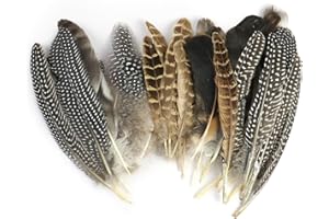 NHPY 50 Piezas Plumas Decorativas, Naturales Plumas De Cola, Decoraciones Plumas De Colores, Plumas De Pollo Decoracion, Plumas Decoracion para DIY Corona De Navidad Boda(4Tamaño,12-20Cm)