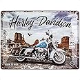 Nostalgic-Art Retro Tin Sign – Harley-Davidson – Route 66 Road King – Gift idea for biker, Metal Plaque, 30 x 40 cm