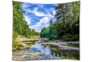 A.Monamour Tapisseries Forêt Verte Arbres Rivière Rochers Ciel Bleu Nuages ​​Blancs Nature Paysages graphie Tapisserie Murale Tapisseries Murales Dortoirs Diviseurs Couvre-Lit 130X153Cm / 51 "X60