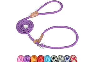 Grand Line Retrieverleine mit Zugstopp, 150 cm Moxonleine Reflektierende Hundeleine, Sicher Dauerhafte Trainingsleine Moxonleine für Kleine Mittlere und Große Hunde - 10mm, Lila
