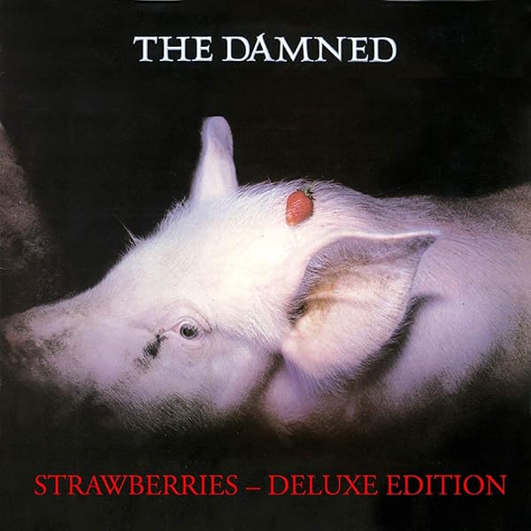 洋楽 The Damned the Stiff singles 1976-1977 The Damned – The Stiff Singles 1976-1977 – Box Set