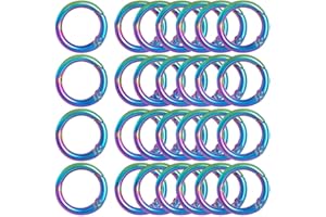 SOFPLATE 1 scatola 20 pezzi di Anelli A Molla In Metlega Da 20mm Moschettone Rotondo Portachiavi Colore Arcobaleno Clip A Molla A Scatto Fibbie A O In Lega di Zinco per Portachiavi Fai Da Te Portachi
