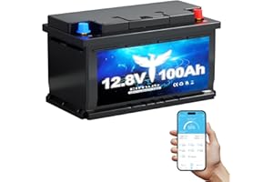 ‎ELFHUB Elfhub LiFePO4 12V 100AH Autobatterie Bluetooth 100A BMS über 5000 Mal Tiefzyklus Lithium Akku 1280W Abschaltschutz bei Niedriger Temperatur für Wohnmobil, Camping, Boot, Solare Heimanlagen
