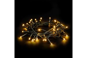 EMOS Guirlande lumineuse LED type Classic chaud, longueur 4 m, 40 LED, 230 V avec prise, avec fonction de minuterie, pour un usage intérieur et extérieur, protection IP44, couleur: blanc chaud