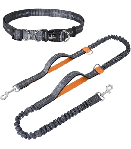 Guinzaglio Mani Libere Per Cani - Cintura Regolabile 70-130cm Con Guinzaglio Elastico 130-180cm, Riflettente