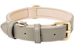 HEELE Soft Leather Dog Collar Breathable Padded with D Ring, New Pad Colour, Adjustable Classic Dog Pet Collar for Small Medium Large Dogs, New Grey, M
