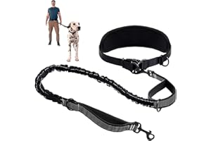 PIWOSGOL Laisse pour Chiens, Laisse Canicross Chiens, Laisse Chien Main Libre, Laisse Chien Autour De La Taille, Ceinture Réglable Et Laisse Élastique Rétractable, pour Canicross, Course à Pied, Randonnée