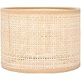 fannay Rattan Lamp Shade, Vintage Hand Woven Light Cover for Table, Floor, Ceiling Lamp with Fine Technology, Quality
