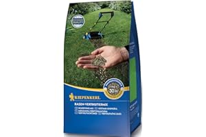 Kiepenkerl Rasen-Vertikutiermix 651807, 1 kg - Rasenkur & Nachsaat in einem Schritt, schnelle Keimung, Rasensamen für Rasenreparatur, Vertikutierer, Rasensaat schnellkeimend