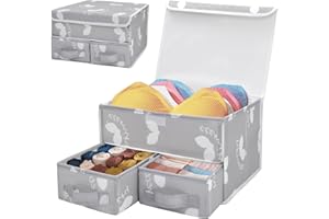SHEPIN 2 Pezzi Organizer Armadio Scatola per Intima e calze, Doppio strato Pieghevole Organizer Cassetti, Cassetti Della Organizer con coperchio per reggiseno mutandine t-Shirt Calze Cravatte