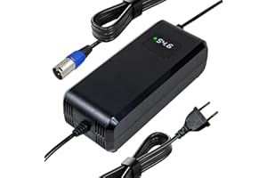 YANGZIDIANYUAN Cargador de Batería Rápido 54.6V 4A para Bicicleta Eléctrica 48V Batería Li-Ion (54.6V 4A XLR)