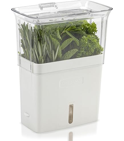Contenitore salvafreschezza per verdure, centrifuga per insa