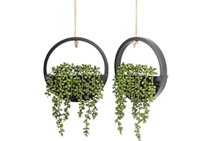 Floweroyal Künstliche Sukkulenten zum Aufhängen, 31,8 cm, künstliche Perlenschnur im Topf mit 21,6 cm Umhängeband für Innen- und Außenbereich, Wanddekoration, Schwarz, 2 Stück