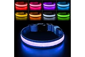 PCEOTLLAR ObrożA Led Dla Psa 7 Zmian KoloróW Akumulator Wodoodporna MgłA MałE śRednie DużE Psy Super Jasne Dla BezpieczeńStwa W Nocy - Niebieski -S