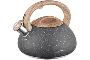 Klausberg KB-7250 - Bollitore a fischio, in acciaio inox, 2,7 litri