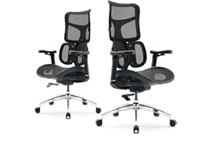 SIHOO Doro S100 Sedia da ufficio ergonomica - con supporto lombare dinamico doppio, schienale regolabile su 5 livelli, braccioli coordinati su 4D, angolo massimo di reclinazione di 135 gradi, nera