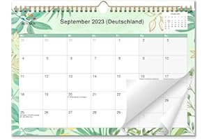 AEYAKA Kalendarz 2024 kalendarz ścienny kalendarz miesięczny 2024 na cały rok B