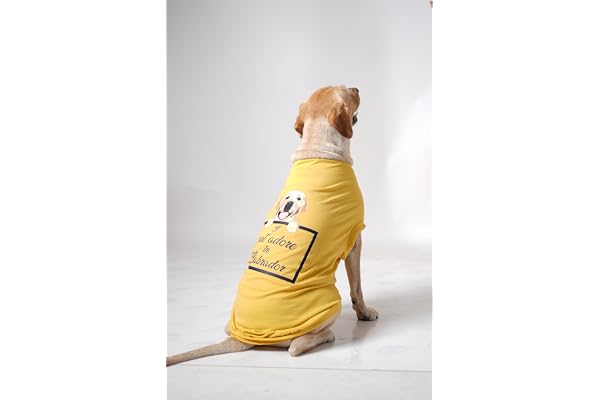 Thunder Tails Premium Cotton Dog T-Shirt for Adult Dogs, 4XL for Lean Labrador, Lean Golden Retriever, German Shepherd, Rottweiler, Husky, Chow Chow Stylish & Graphic Printed T-Shirt (Yellow)