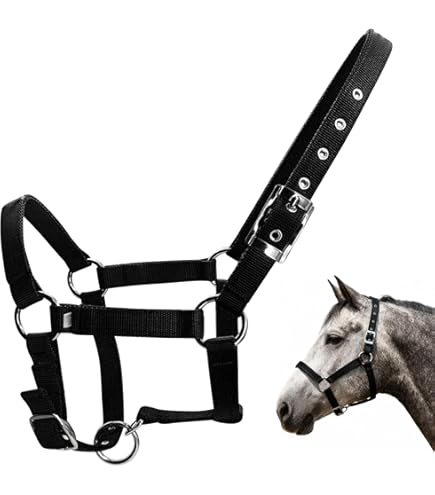 Smith Saddlery Schwarz Lederoberfläche Gerade Steigbügel