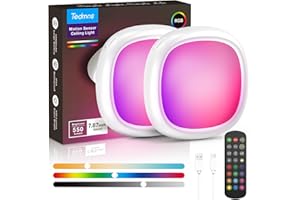 TEDMOS 2 Pcs USB Rechargeable Ceiling Light with Remote, IP54 Waterproof 550LM 12000mAh Motion Sensor Shed Lights Battery Operated RGB Bathroom Light, Wireless LED Garage Lighting Pir Indoor Lamp for Loft