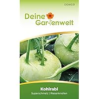 Kohlrabi Superschmelz Kohlsamen | Kohlrabisamen | Rübkohlsamen | Oberrübensamen