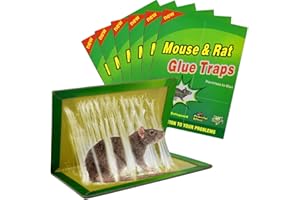 HTBAKOI Trampa Ratas para Ratones 6 Piezas Pegamento Trampas Grandes Potente Ratones 【6 Piezas】