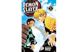 Demon Slayer - Kimetsu no yaiba 3