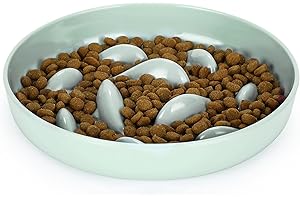 IDOGCHEW Gamelle Anti Glouton Chat, Assiette Régime Anti Vomissement pour Chat Glouton, Bol Plat Chaton avec Base Antidérapante pour Manger Lentement(Vert-Poisson, Rond)