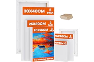 Koncci Lot de 10 toiles vierges tendues pour peinture, 10x15, 15x20, 20x25, 25x30, 30x40cm, 280gsm Chassis pour Toile de Bois Tendue pour Aquarelle Acrylique, Artistes Et Débutants