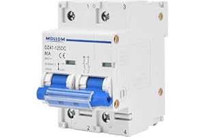 MOLLOM DC 2 Pole Miniature Circuit Breaker, 500V 80Amps, Scene Visualization Custom MCB Thermal Magnetic Trip, 6KA Breaking Capacity DC Disconnect Switch for Solar PV System