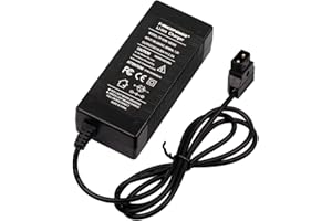 TANGSPOWER D-Tap Chargeur 16,8V 3A avec câble V-Mount V Lock Mout Pro pour Appareil Profession BP-U65 PDW-850 HDW-680 Hollyland Mars 300 Pro lumix S1 Chargeur de Voyage pour caméscope