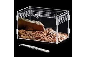 BEHOGAN Terrario acrilico a lumache terrario: 20 x 12 x 12 cm, mini terrario trasparente, contenitore per terrario, contenitore per rane, lucertola, serpenti