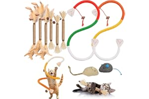 YADOBIG 10 Piezas Juguetes para Gatos con 2 Cuerda de Morder, 6 Juguetes con Palitos de Hierba Gatera y 2 Juguetes para Ratones para Limpiar los Dientes y Aliviar el Estrés（4 Tipos）