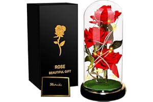 SWEETIME Beauty and The Beast Rose,3 Red Silk Rose in Glass Dome with Warm Light,Artificial Flower Light up Rose,Handmade Rose Tube Gift for Women on Anniversary,Mother's Day,Birthday,Valentine Day,Christmas.