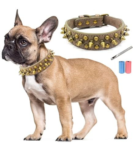 Collare Per Cani In Pelle Con Borchie E Rivetti - Regolabile E Antimorso Con Fune Di Trazione