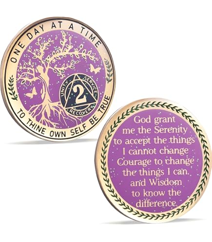 Pièce de sobriété de 3 mois avec jetons AA et médaillons avec porte-clés en cuir synthétique - Cadeau de sobriété pour célébrer la guérison des alcooliques anonymes - Cadeau de sobriété pour Pièce de sobriété de 3 mois avec jetons AA et médaillons avec porte-clés en cuir synthétique - Cadeau de sobriété pour célébrer la guérison des alcooliques anonymes - Cadeau de sobriété pour