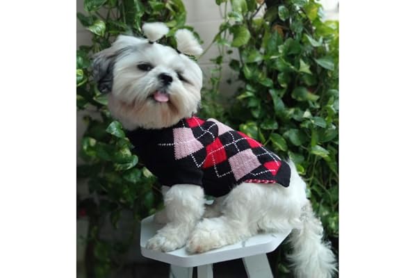 Lulala Small Dog Winter Sweater Argyle Knit Pullover, Warm Polyester Pet Clothing, Black Red Design for Puppies & Small Breeds