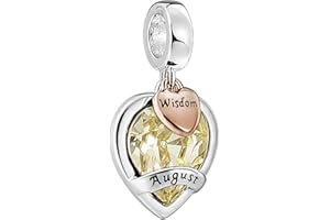 AMATOLOVE Jan-Dec Birthstone Charms for Bracelets Happy Birthday Bead Charm Gifts for Women Girls,Brilliant Round Heart Shape CZ for Choice