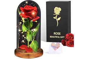 BOLEi Ewige Rose im Glas für Sie, Romantische Rosen für Frauen,Die Schöne und das Biest Ewige Rose, Rose im Glas mit LED Licht für Freundin Oma Frau Jahrestag, Festival Überraschung Rose für Freundin