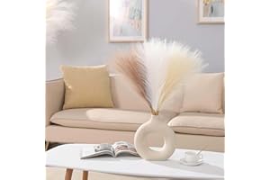 VIDSTW 30 Pezzi Pampas Decorative 55 cm Erba di Pampa Fiori Secchi Decorativi Piume Decorative Fiori Secchi Decorativi Decorazioni Casa per Vaso, per Decorazioni Matrimonio Casa (Multicolore)