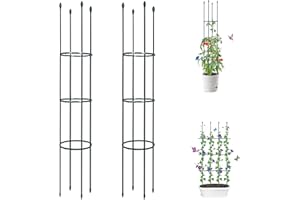 ThxToms Lot de 2 tuteurs de jardin en métal - 160 cm - Avec 30 clips pour plantes - Pour plantes grimpantes, tomates, roses
